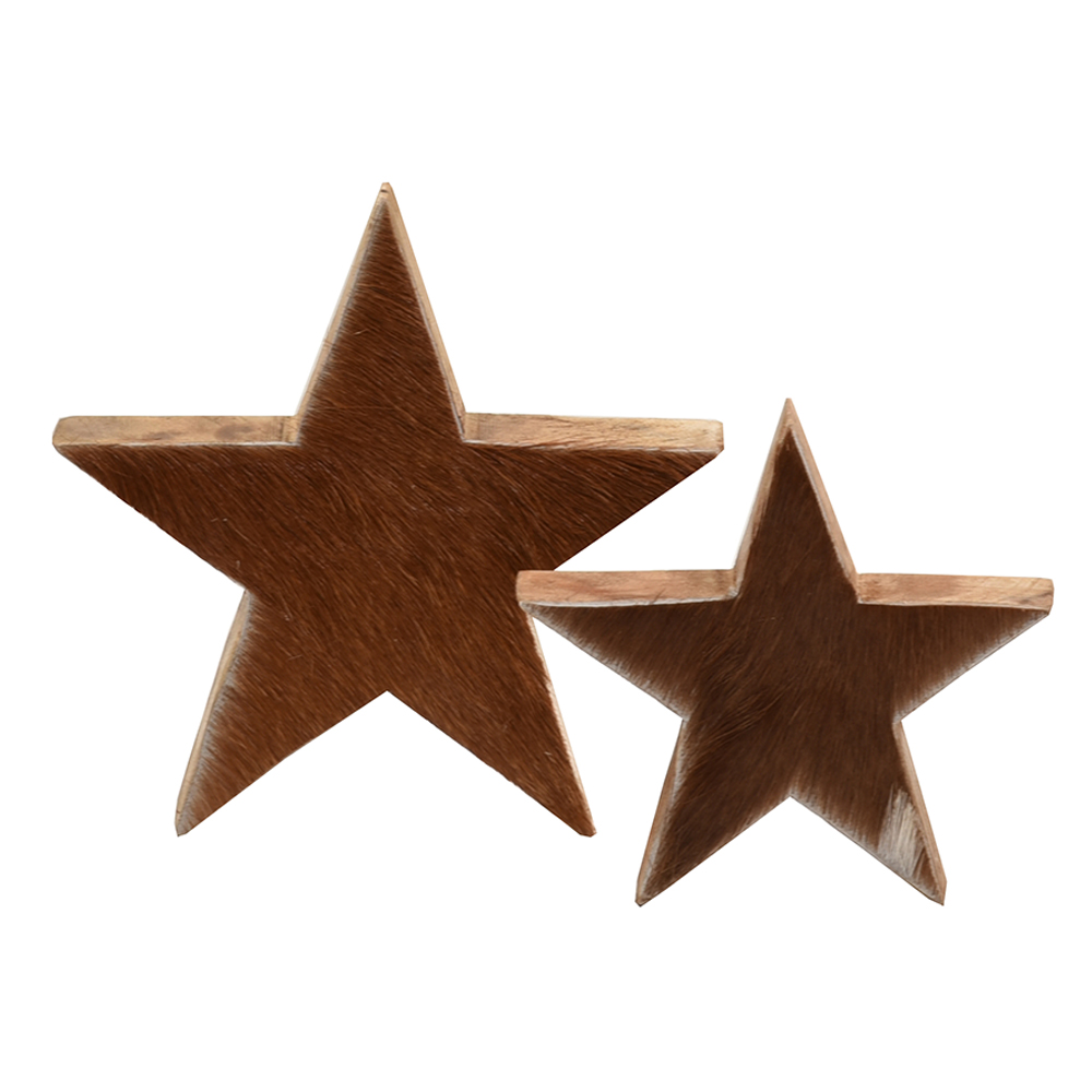 PEUPLE ΧΡΙΣΤΟΥΓΕΝΝΙΑΤΙΚΟ ΔΙΑΚΟΣΜΗΤΙΚΟ ΑΣΤΕΡΙ ΚΑΦΕ 20x4x20 - Image 2