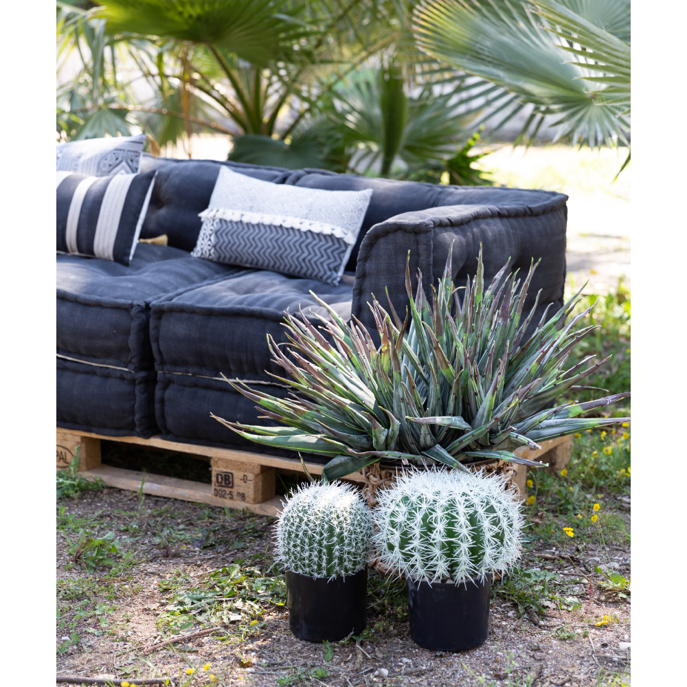 FEROCACTUS ΦΥΤΟ ΤΕΧΝΗΤΟ ΣΕ ΓΛΑΣΤΡΑ 25x25x33 ΥΦΑΣΜΑ ΠΡΑΣΙΝΟ ΛΕΥΚΟ ΠΛΑΣΤΙΚΟ - Image 4