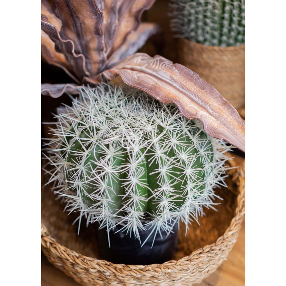 FEROCACTUS ΦΥΤΟ ΤΕΧΝΗΤΟ ΣΕ ΓΛΑΣΤΡΑ 25x25x33 ΥΦΑΣΜΑ ΠΡΑΣΙΝΟ ΛΕΥΚΟ ΠΛΑΣΤΙΚΟ - Image 5