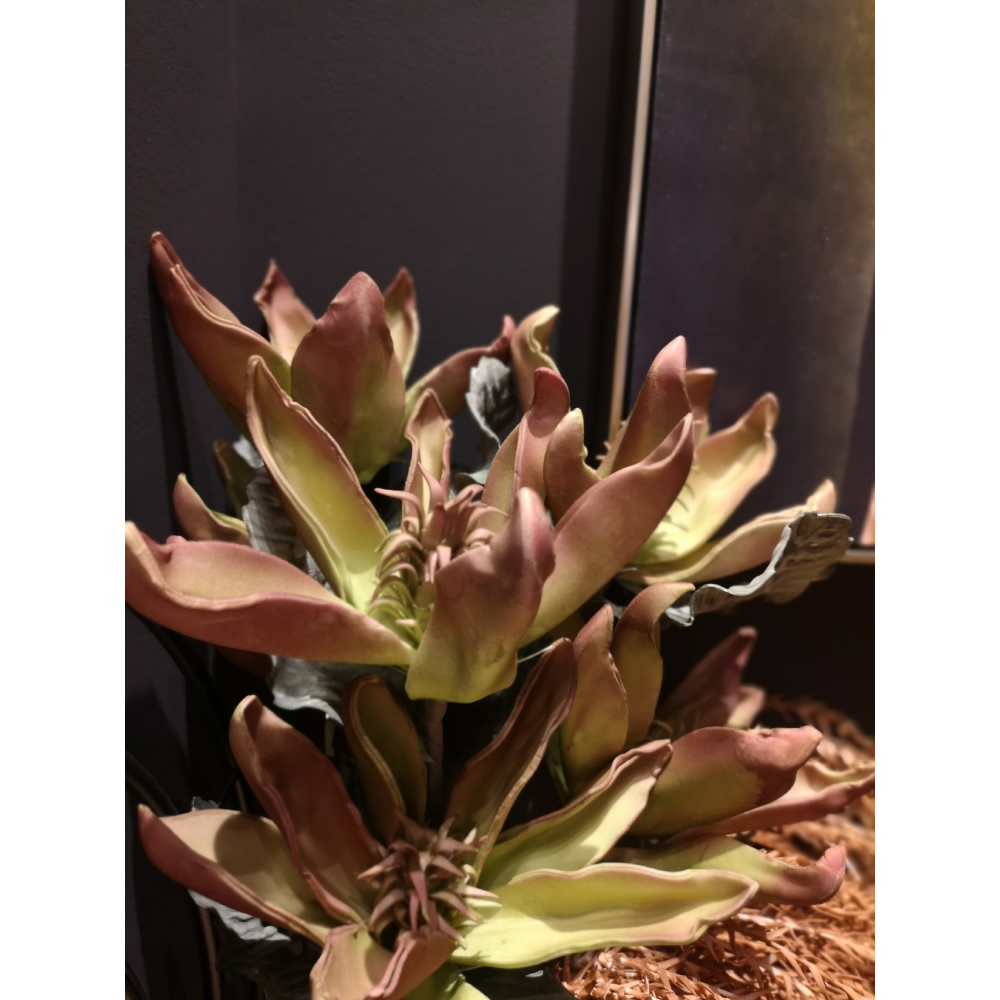 RED 1 ΛΟΥΛΟΥΔΙ ΤΕΧΝΗΤΟ 95 EVA FOAM ΚΟΚΚΙΝΟ ΠΡΑΣΙΝΟ - Image 2