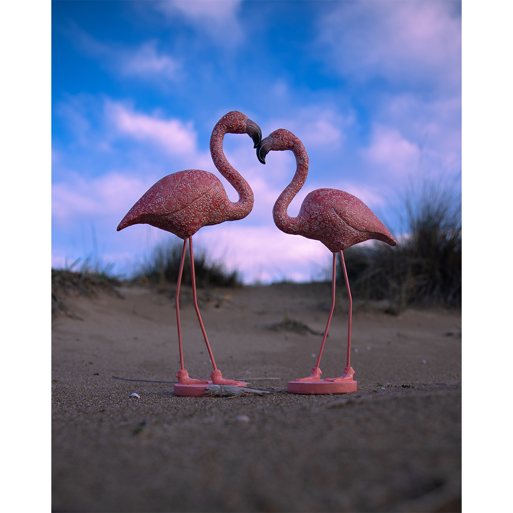 ROSEUS ΔΙΑΚΟΣΜΗΤΙΚΟ ΦΛΑΜΙΝΓΚΟ 24x12x46 POLYRESIN ΡΟΖ - Image 2