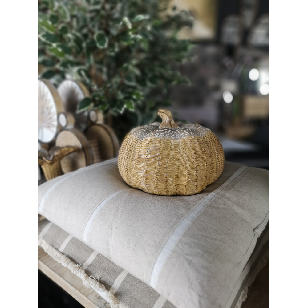 PEPO ΔΙΑΚΟΣΜΗΤΙΚΗ ΚΟΛΟΚΥΘΑ 23x23x16 POLYRESIN ΦΥΣΙΚΟ - Image 4