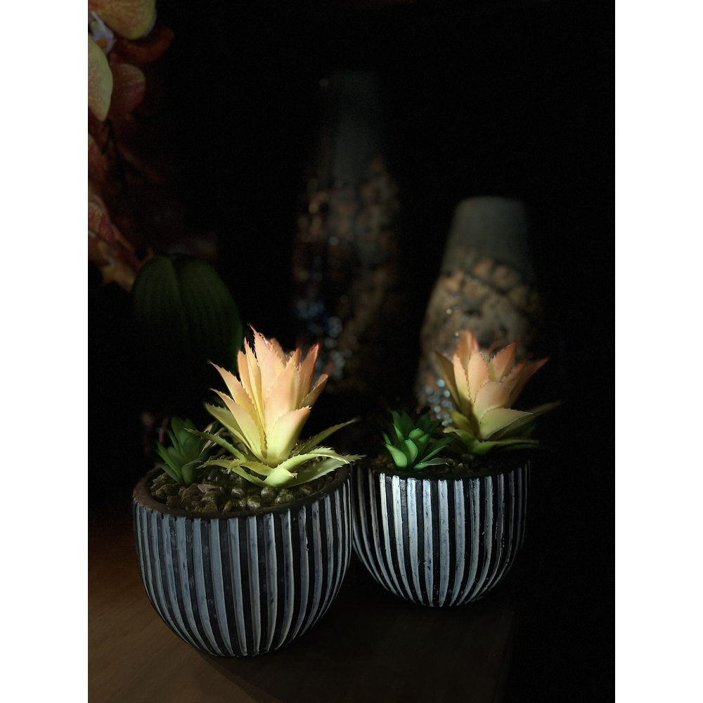 LAKHSMI 4 ΦΥΤΟ ΤΕΧΝΗΤΟ ΣΕ ΚΑΣΠΩ 13x13x18.5 POLYRESIN ΜΑΥΡΟ ΛΕΥΚΟ ΠΡΑΣΙΝΟ - Image 2