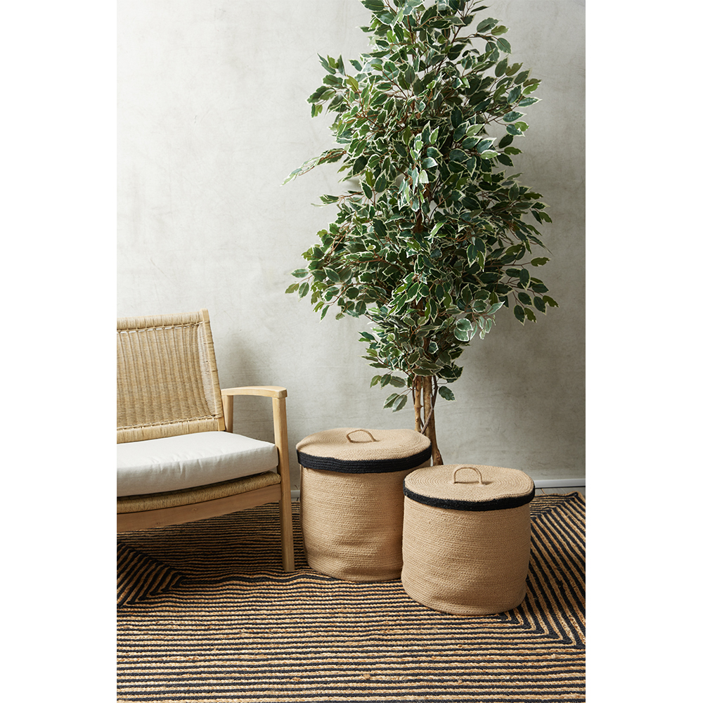 FICUS ΔΕΝΤΡΟ ΤΕΧΝΗΤΟ ΣΕ ΓΛΑΣΤΡΑ 170 POLYESTER ΠΡΑΣΙΝΟ PE/PP - Image 3