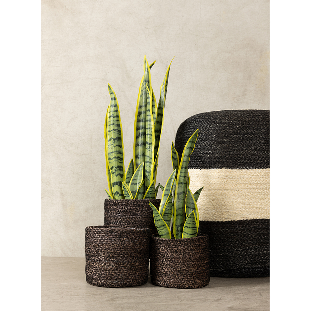 DEL MAR ΚΑΣΠΩ SET 3ΤΜΧ 20x20x18cm SEAGRASS ΜΑΥΡΟ - Image 2