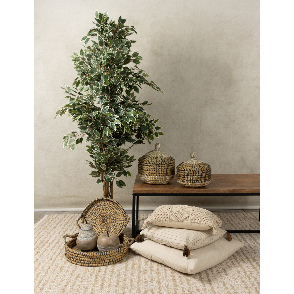 NILE PLEX ΚΑΛΑΘΙ ΜΕ ΚΑΠΑΚΙ SET 2ΤΜΧ 30x30x32cm KANSGRASS ΦΥΣΙΚΟ ΜΑΥΡΟ PVC - Image 2