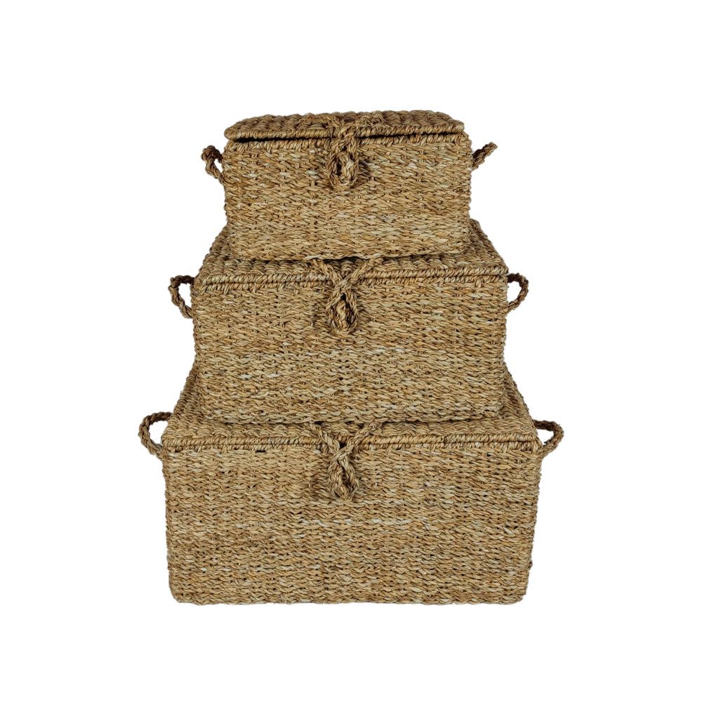 ALMAR ΚΟΥΤΙ ΜΕ ΚΑΠΑΚΙ SET 3ΤΜΧ 50x34x25cm SEAGRASS ΦΥΣΙΚΟ ΣΙΔΕΡΟ