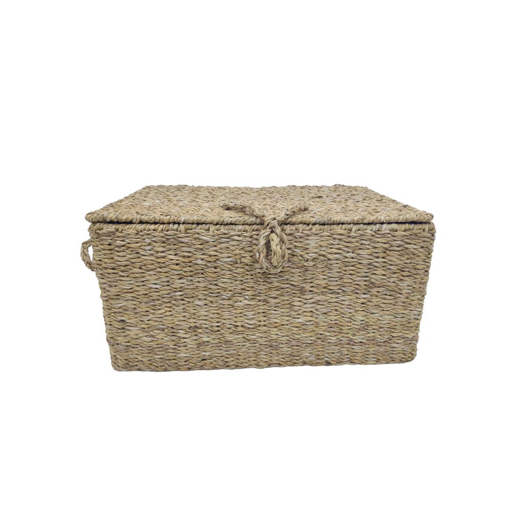 ALMAR ΚΟΥΤΙ ΜΕ ΚΑΠΑΚΙ SET 3ΤΜΧ 50x34x25cm SEAGRASS ΦΥΣΙΚΟ ΣΙΔΕΡΟ - Image 2