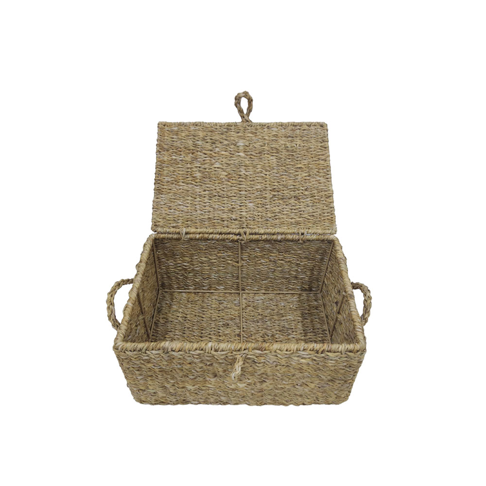 ALMAR ΚΟΥΤΙ ΜΕ ΚΑΠΑΚΙ SET 3ΤΜΧ 50x34x25cm SEAGRASS ΦΥΣΙΚΟ ΣΙΔΕΡΟ - Image 3