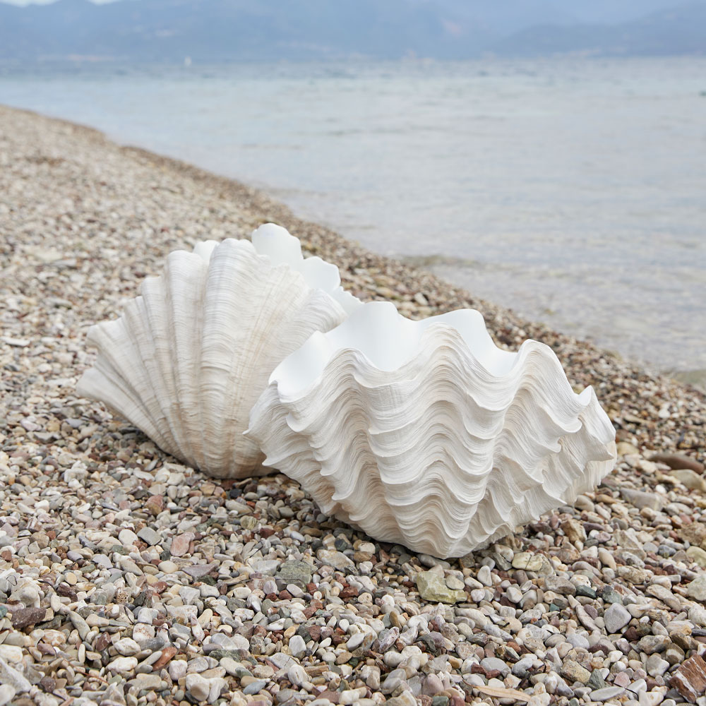 CORALLI ΔΙΑΚΟΣΜΗΤΙΚΟ ΚΟΡΑΛΙ 49x32x29 POLYRESIN ΛΕΥΚΟ - Image 2