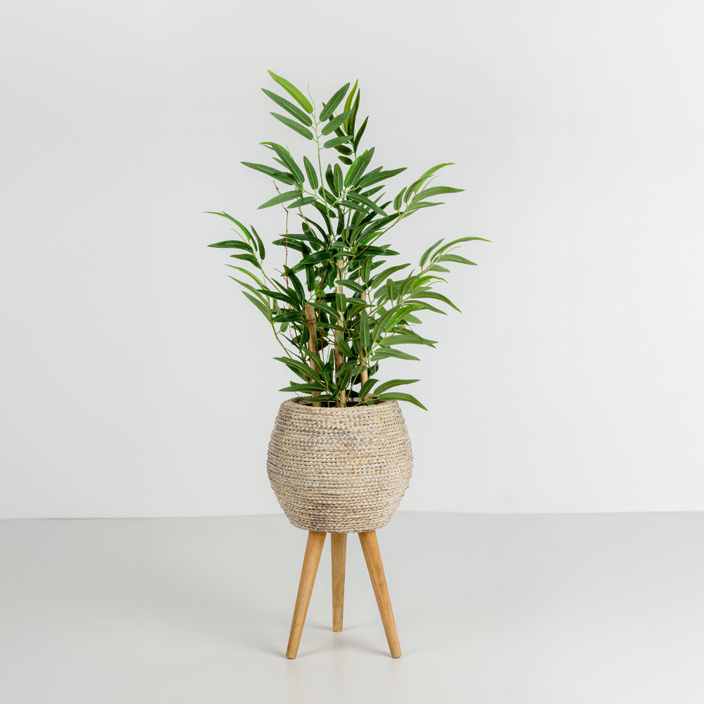 BAMBOO ΦΥΤΟ ΤΕΧΝΗΤΟ ΣΕ ΓΛΑΣΤΡΑ 70 POLYESTER ΠΡΑΣΙΝΟ PVC - Image 2