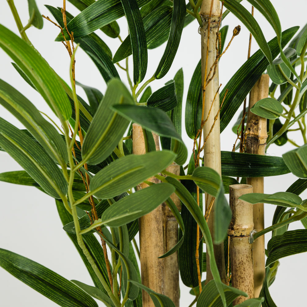 BAMBOO ΦΥΤΟ ΤΕΧΝΗΤΟ ΣΕ ΓΛΑΣΤΡΑ 70 POLYESTER ΠΡΑΣΙΝΟ PVC - Image 3