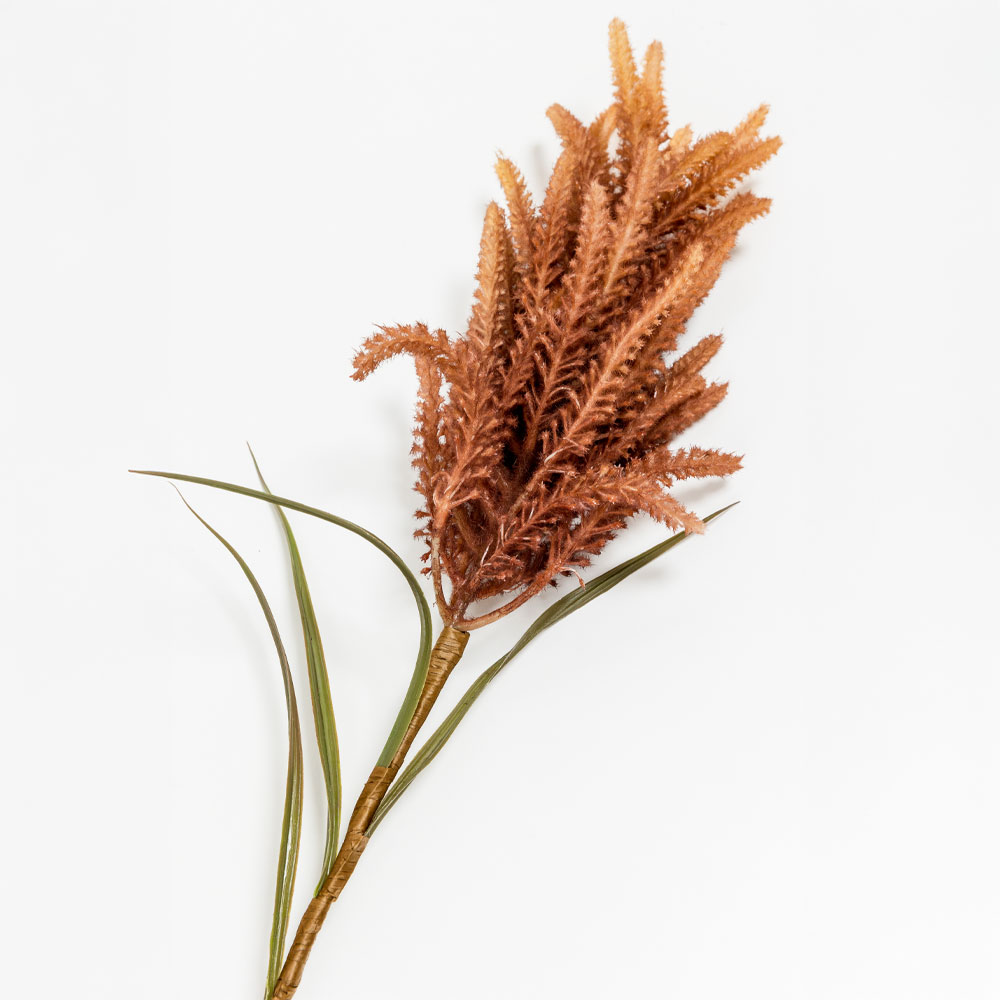DOG TAIL ΛΟΥΛΟΥΔΙ ΤΕΧΝΗΤΟ 89cm PVC ΜΠΕΖ ΚΑΦΕ - Image 4