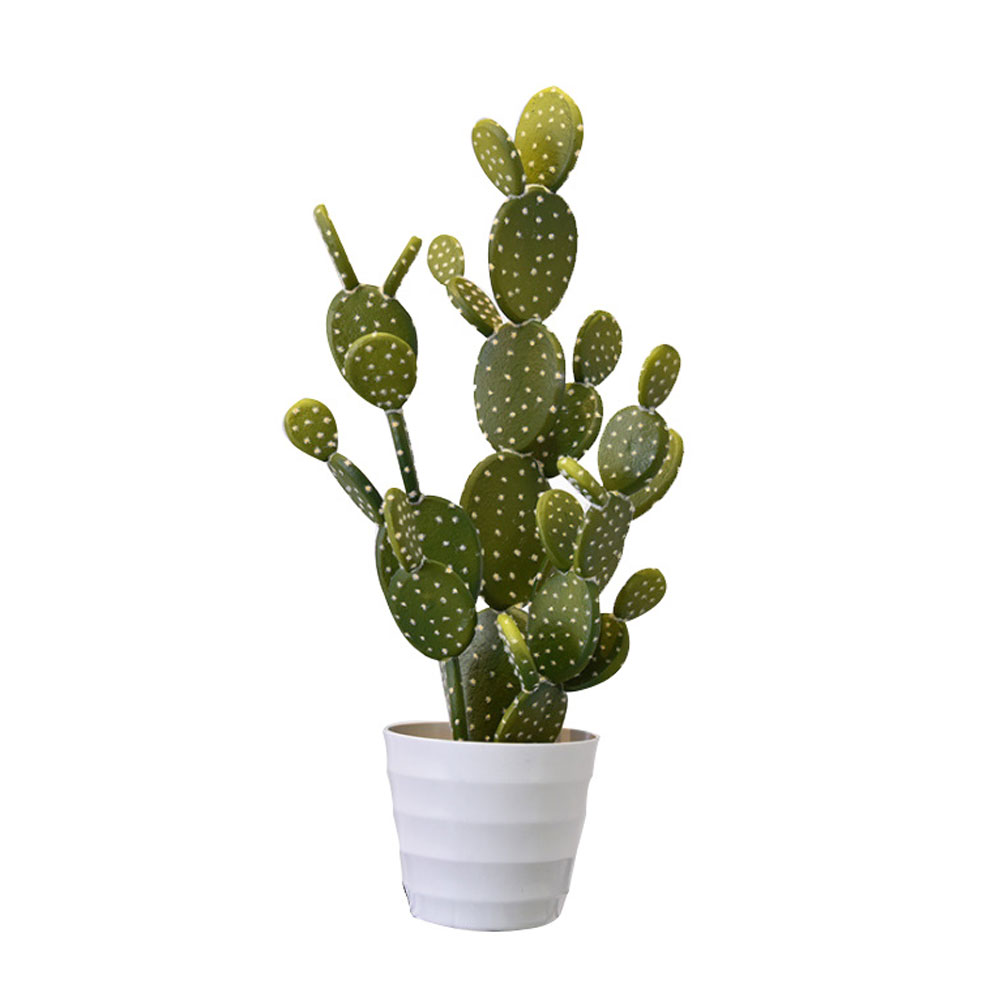 REBUTIA ΦΥΤΟ ΤΕΧΝΗΤΟ ΣΕ ΓΛΑΣΤΡΑ 67cm PVC ΠΡΑΣΙΝΟ ΛΕΥΚΟ ΤΣΙΜΕΝΤΟ