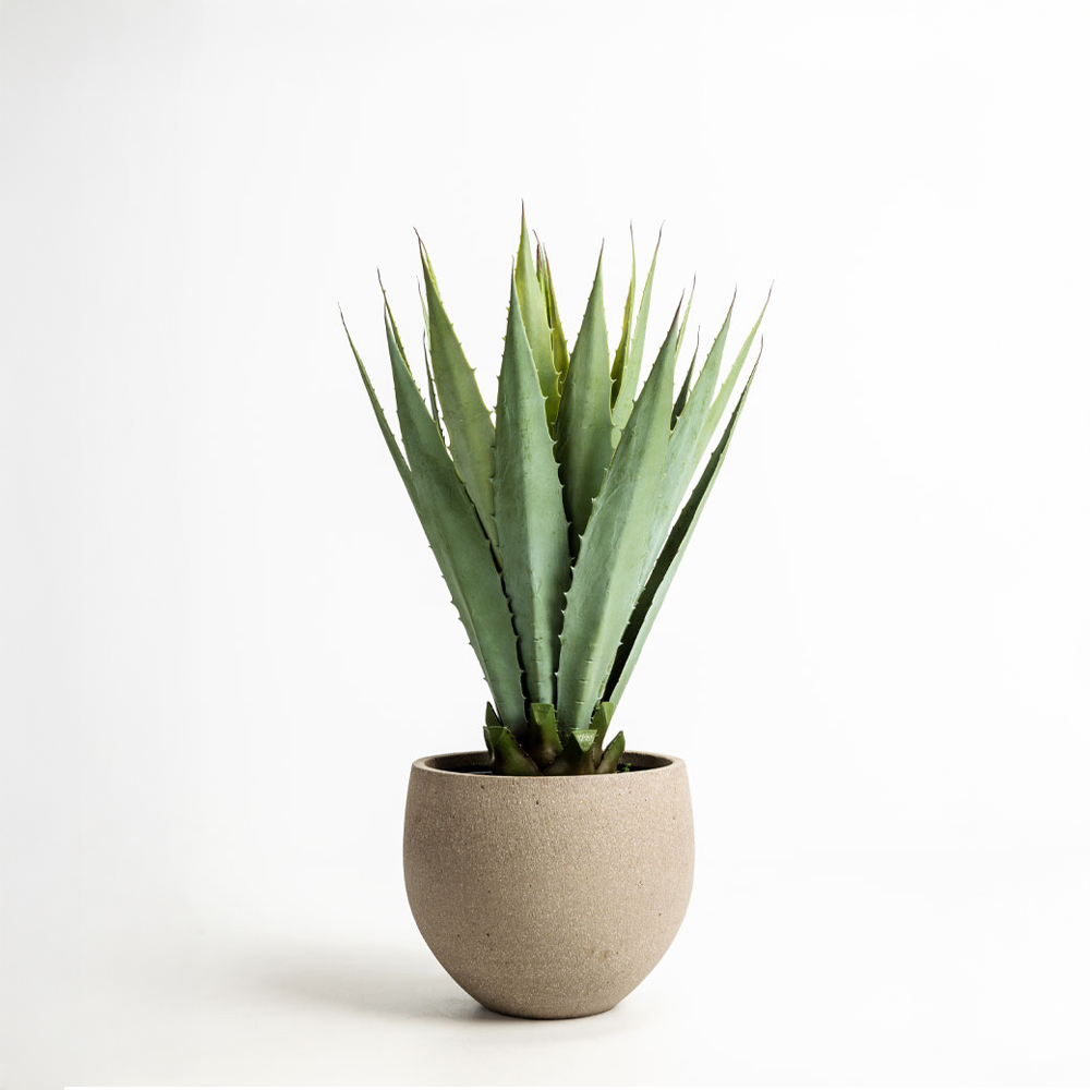 AGAVE ΦΥΤΟ ΤΕΧΝΗΤΟ ΣΕ ΓΛΑΣΤΡΑ 58cm PVC ΠΡΑΣΙΝΟ ΜΑΥΡΟ ΤΣΙΜΕΝΤΟ - Image 2