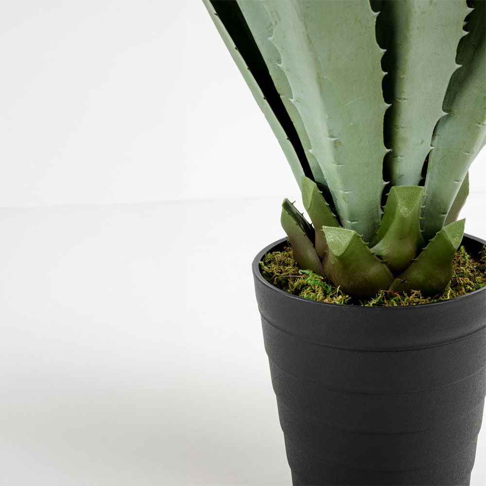 AGAVE ΦΥΤΟ ΤΕΧΝΗΤΟ ΣΕ ΓΛΑΣΤΡΑ 58cm PVC ΠΡΑΣΙΝΟ ΜΑΥΡΟ ΤΣΙΜΕΝΤΟ - Image 4