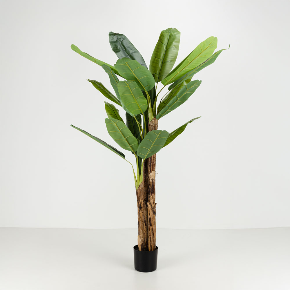 BANANA ΔΕΝΤΡΟ ΤΕΧΝΗΤΟ ΣΕ ΓΛΑΣΤΡΑ 200cm PVC ΠΡΑΣΙΝΟ ΜΑΥΡΟ ΤΣΙΜΕΝΤΟ