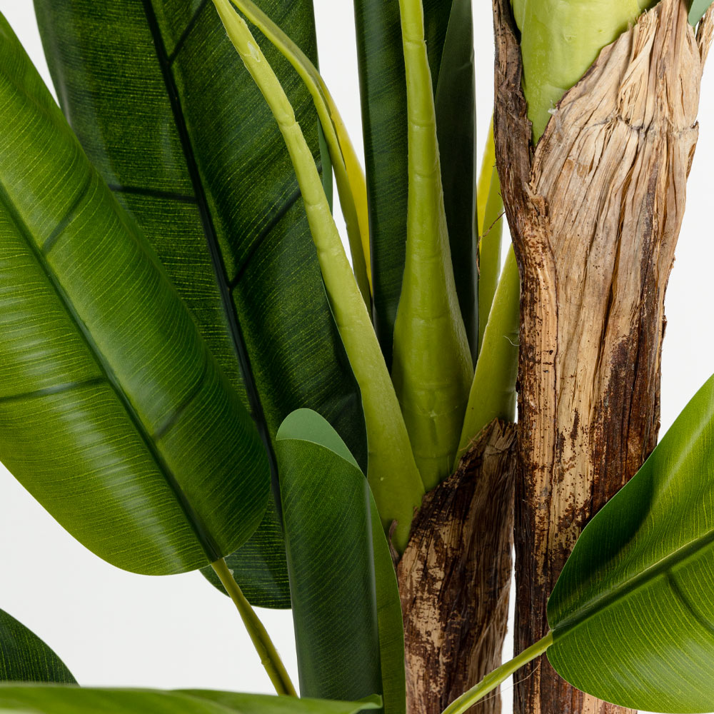 BANANA ΔΕΝΤΡΟ ΤΕΧΝΗΤΟ ΣΕ ΓΛΑΣΤΡΑ 200cm PVC ΠΡΑΣΙΝΟ ΜΑΥΡΟ ΤΣΙΜΕΝΤΟ - Image 3