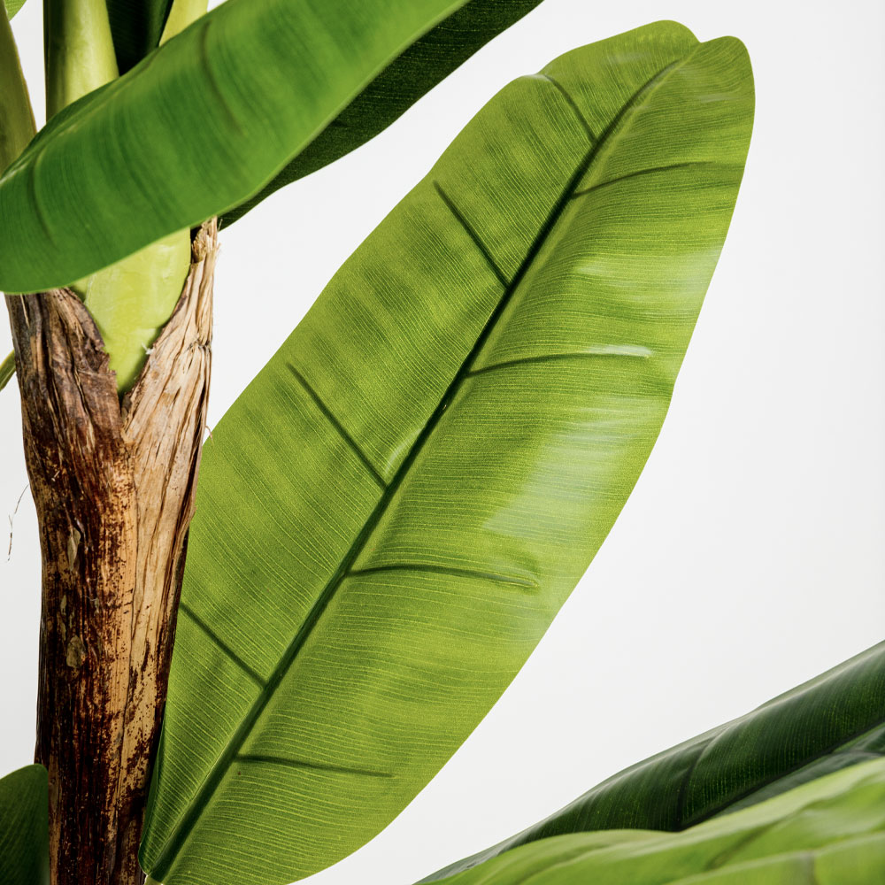 BANANA ΔΕΝΤΡΟ ΤΕΧΝΗΤΟ ΣΕ ΓΛΑΣΤΡΑ 200cm PVC ΠΡΑΣΙΝΟ ΜΑΥΡΟ ΤΣΙΜΕΝΤΟ - Image 4