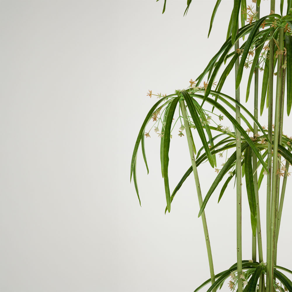 WINDMILL ΔΕΝΤΡΟ ΤΕΧΝΗΤΟ ΣΕ ΓΛΑΣΤΡΑ 160cm PVC ΠΡΑΣΙΝΟ ΜΑΥΡΟ ΤΣΙΜΕΝΤΟ - Image 2