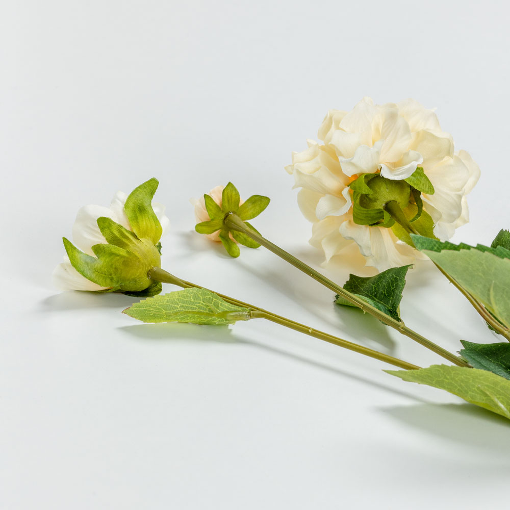 ZINNIA ΛΟΥΛΟΥΔΙ ΤΕΧΝΗΤΟ 62 POLYESTER ΜΠΕΖ ΠΡΑΣΙΝΟ - Image 4