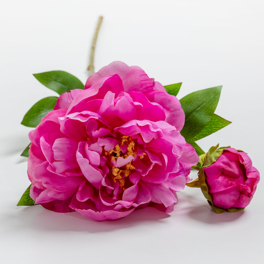 PEONY ΛΟΥΛΟΥΔΙ ΤΕΧΝΗΤΟ 67 POLYESTER ΦΟΥΞΙΑ ΠΡΑΣΙΝΟ - Image 4