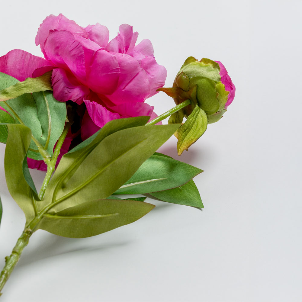 PEONY ΛΟΥΛΟΥΔΙ ΤΕΧΝΗΤΟ 67 POLYESTER ΦΟΥΞΙΑ ΠΡΑΣΙΝΟ - Image 5