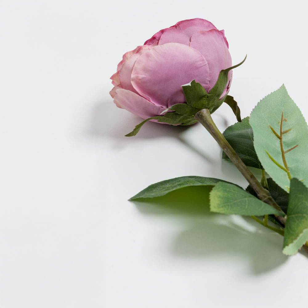 CABBAGE ROSE ΛΟΥΛΟΥΔΙ ΤΕΧΝΗΤΟ 66 POLYESTER ΡΟΖ ΦΟΥΞΙΑ ΠΡΑΣΙΝΟ - Image 5