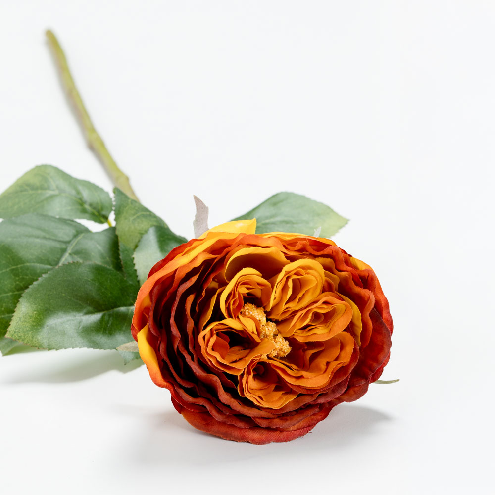 CABBAGE ROSE ΛΟΥΛΟΥΔΙ ΤΕΧΝΗΤΟ 66 POLYESTER TERRACOTTA ΠΡΑΣΙΝΟ - Image 3