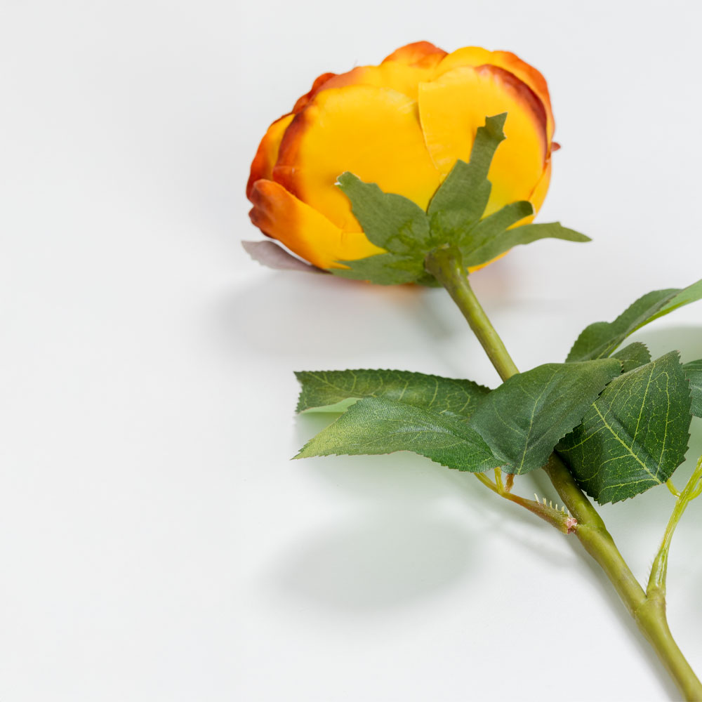 CABBAGE ROSE ΛΟΥΛΟΥΔΙ ΤΕΧΝΗΤΟ 66 POLYESTER TERRACOTTA ΠΡΑΣΙΝΟ - Image 4
