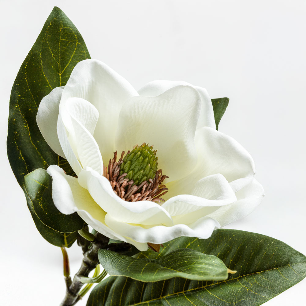 MAGNOLIA ΛΟΥΛΟΥΔΙ ΤΕΧΝΗΤΟ 71 POLYESTER ΜΠΕΖ ΠΡΑΣΙΝΟ - Image 2