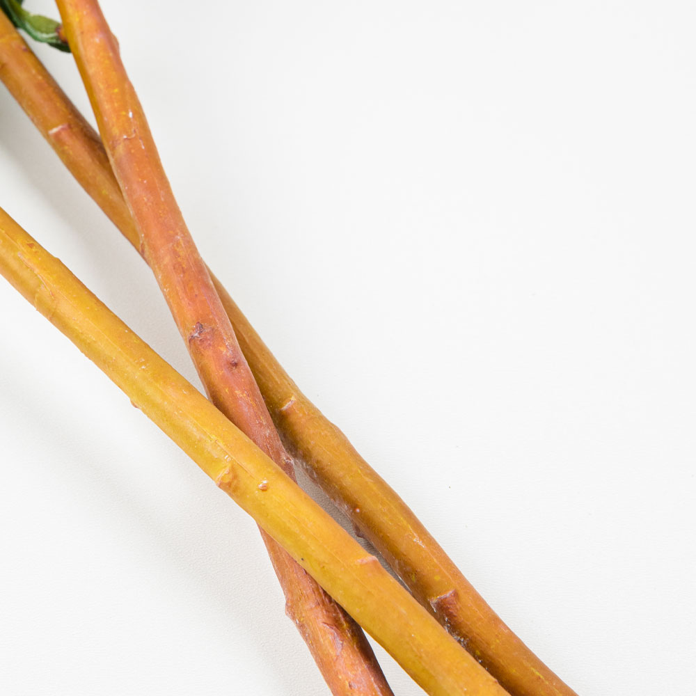 CAMPANULA ΛΟΥΛΟΥΔΙ ΤΕΧΝΗΤΟ 61 POLYESTER ΠΟΡΤΟΚΑΛΙ ΠΡΑΣΙΝΟ - Image 4