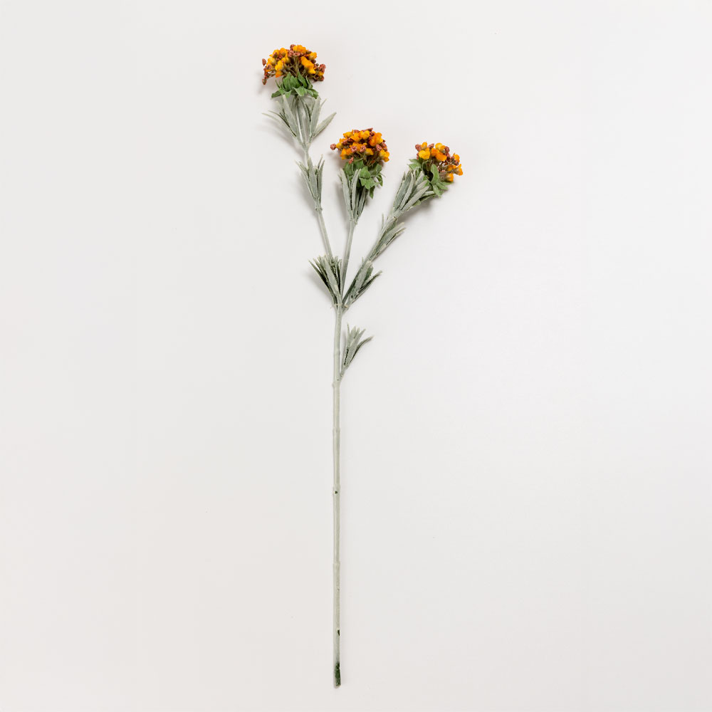 SWEET ALYSSUM ΛΟΥΛΟΥΔΙ ΤΕΧΝΗΤΟ 78 POLYESTER ΠΟΡΤΟΚΑΛΙ ΠΡΑΣΙΝΟ