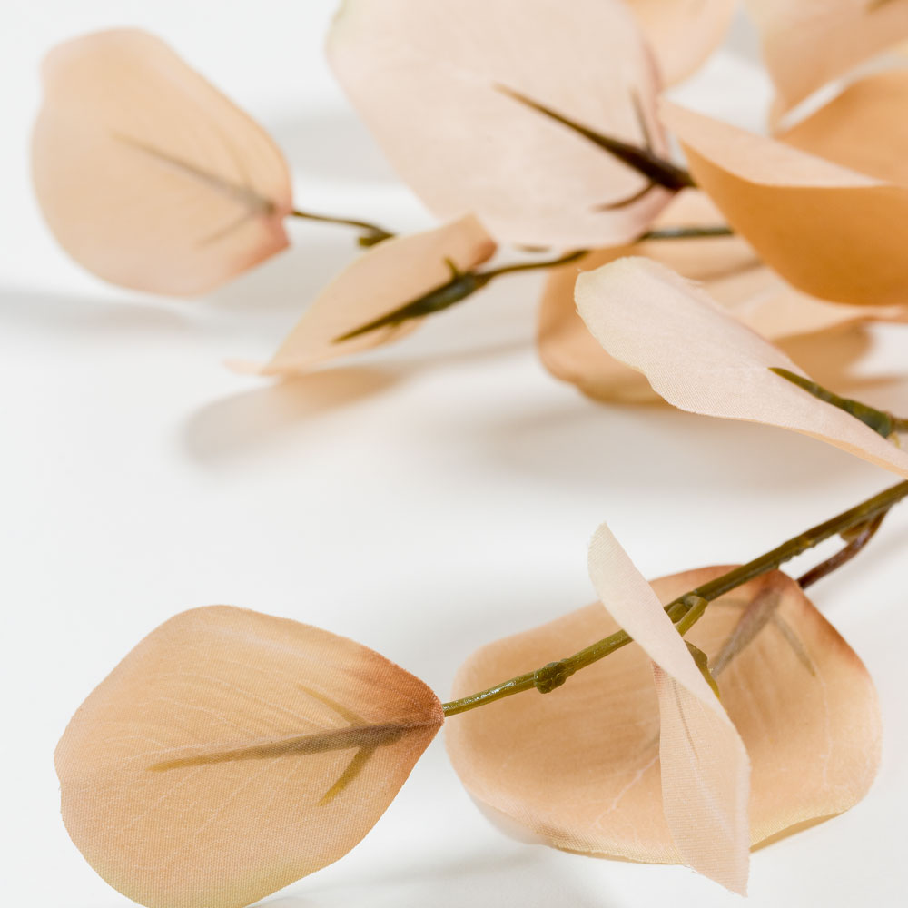 FRANCE EUCALYPTUS ΚΛΑΔΙ ΤΕΧΝΗΤΟ 90 POLYESTER ΜΠΕΖ ΚΑΦΕ - Image 2