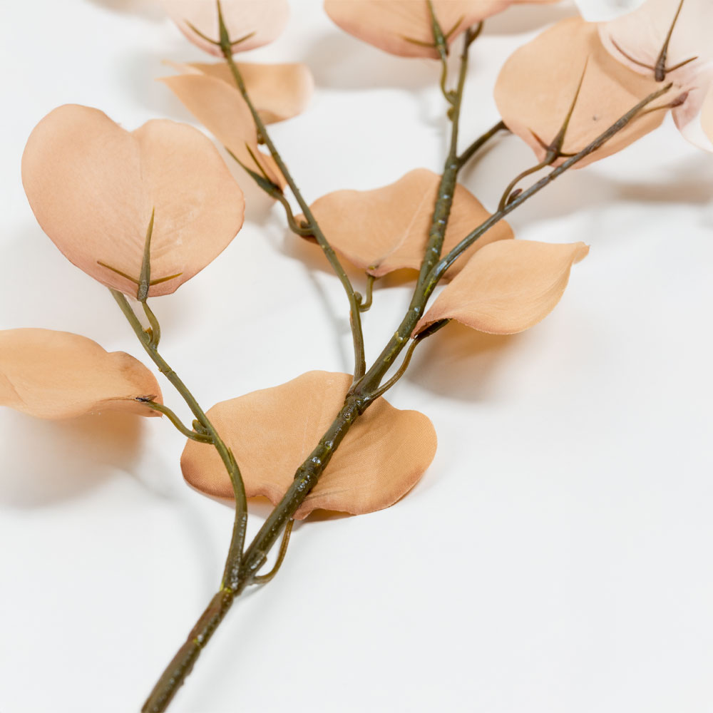 FRANCE EUCALYPTUS ΚΛΑΔΙ ΤΕΧΝΗΤΟ 90 POLYESTER ΜΠΕΖ ΚΑΦΕ - Image 4