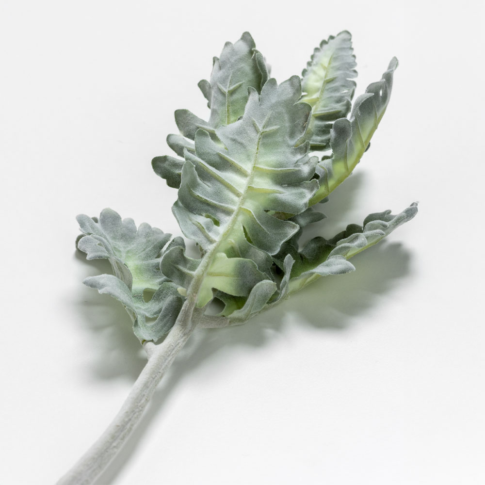 SENECIO CINERARIA ΚΛΑΔΙ ΤΕΧΝΗΤΟ 38 POLYESTER ΠΡΑΣΙΝΟ - Image 3
