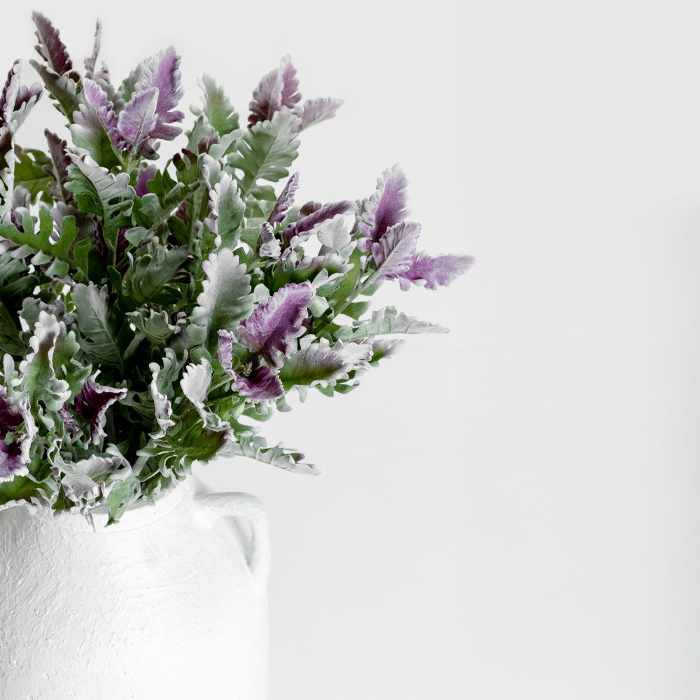 SENECIO CINERARIA ΚΛΑΔΙ ΤΕΧΝΗΤΟ 76 POLYESTER ΠΡΑΣΙΝΟ ΜΩΒ - Image 2