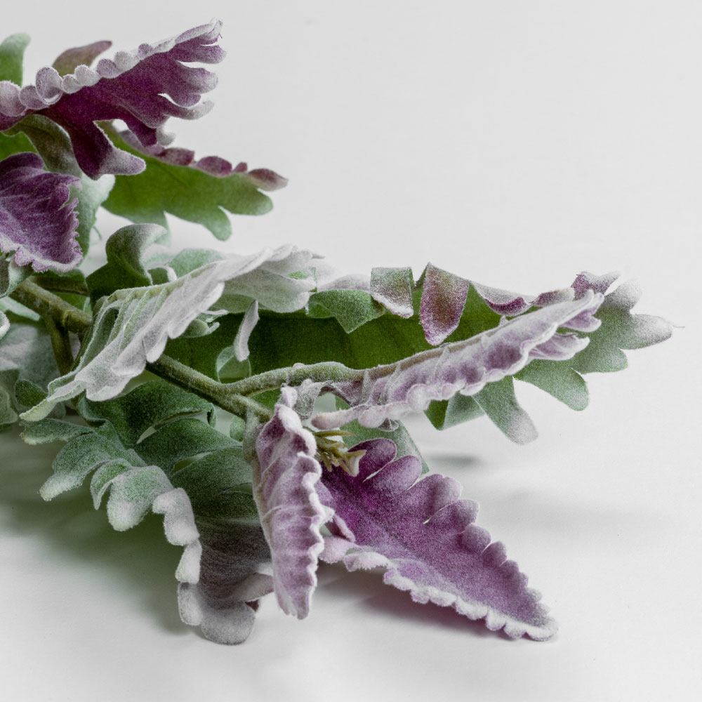 SENECIO CINERARIA ΚΛΑΔΙ ΤΕΧΝΗΤΟ 76 POLYESTER ΠΡΑΣΙΝΟ ΜΩΒ - Image 4