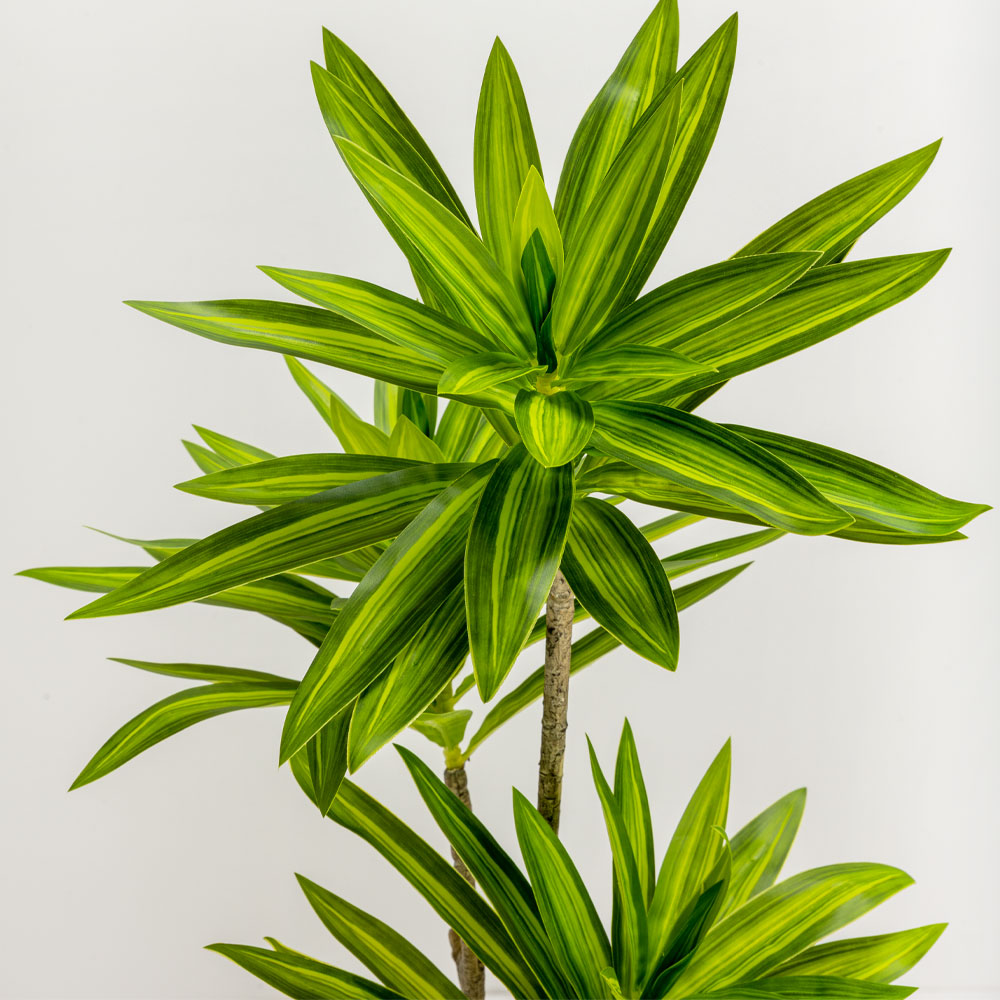 FATSIA ΔΕΝΤΡΟ ΤΕΧΝΗΤΟ ΣΕ ΓΛΑΣΤΡΑ 110 ΥΦΑΣΜΑ ΠΡΑΣΙΝΟ PVC - Image 2