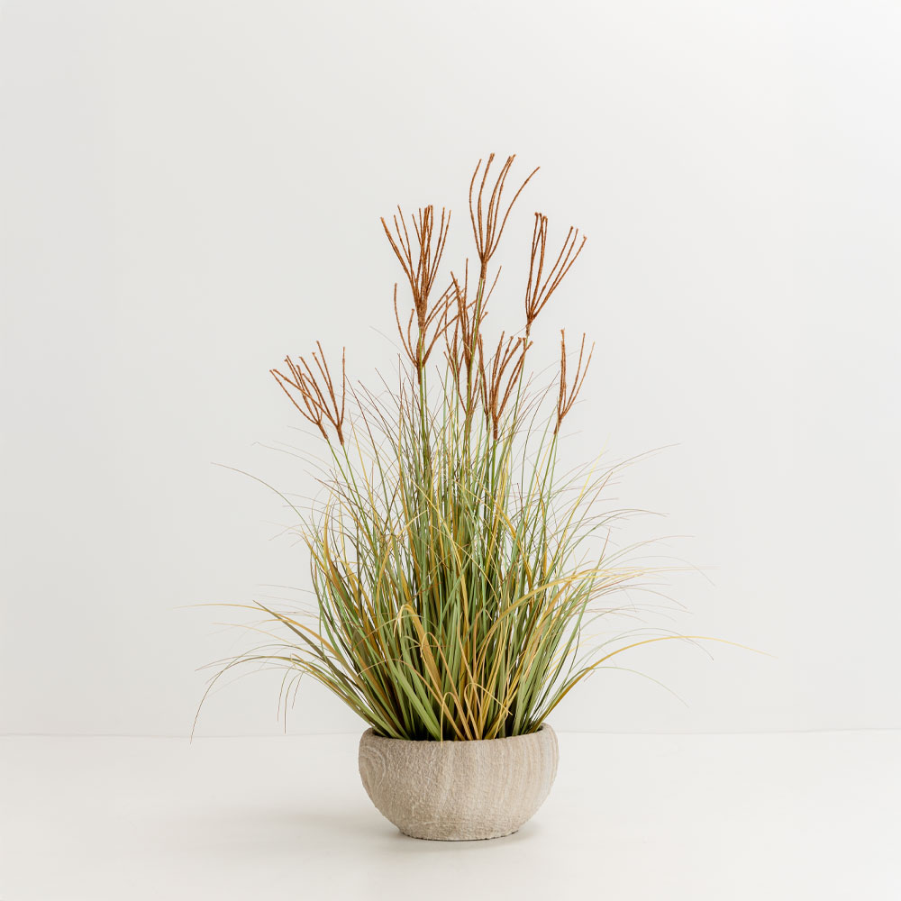 DRAGON BEARD ΦΥΤΟ ΤΕΧΝΗΤΟ 90 PVC ΠΡΑΣΙΝΟ ΚΑΦΕ - Image 2