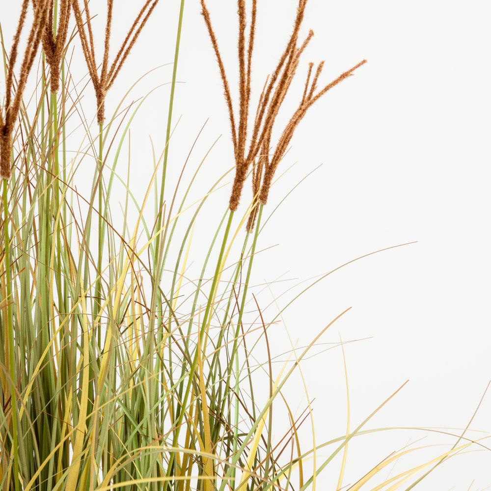 DRAGON BEARD ΦΥΤΟ ΤΕΧΝΗΤΟ 90 PVC ΠΡΑΣΙΝΟ ΚΑΦΕ - Image 3