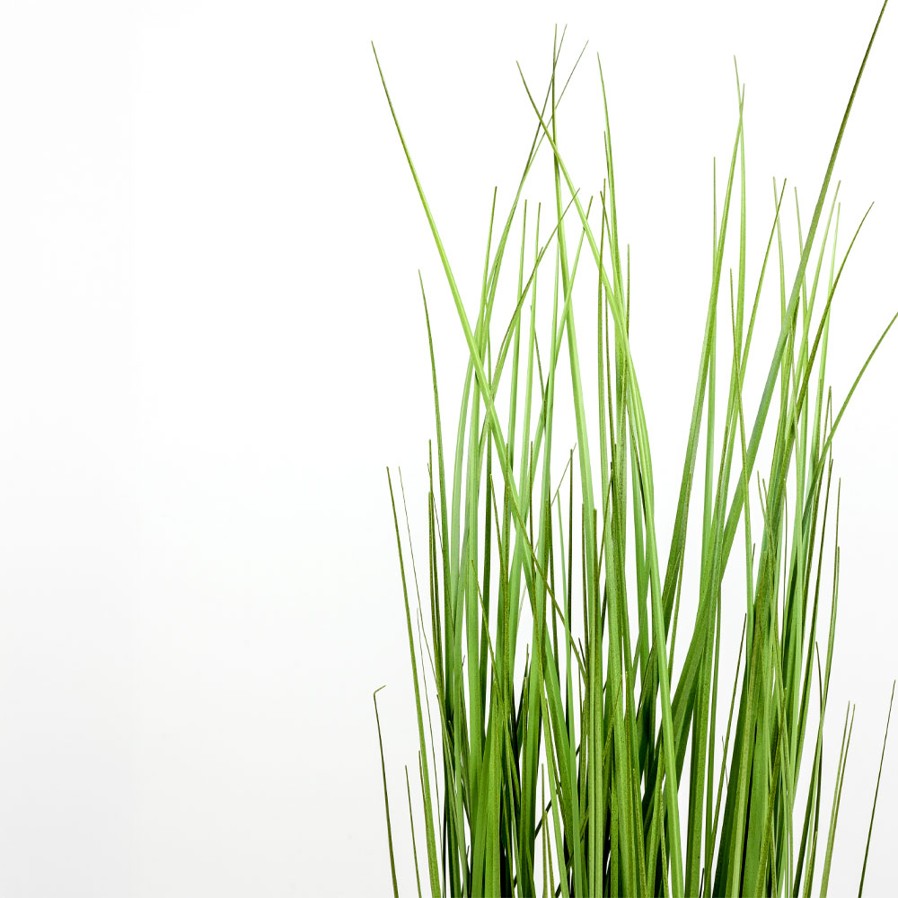 PURE GRASS ΦΥΤΟ ΤΕΧΝΗΤΟ ΣΕ ΓΛΑΣΤΡΑ 90 PVC ΠΡΑΣΙΝΟ - Image 3