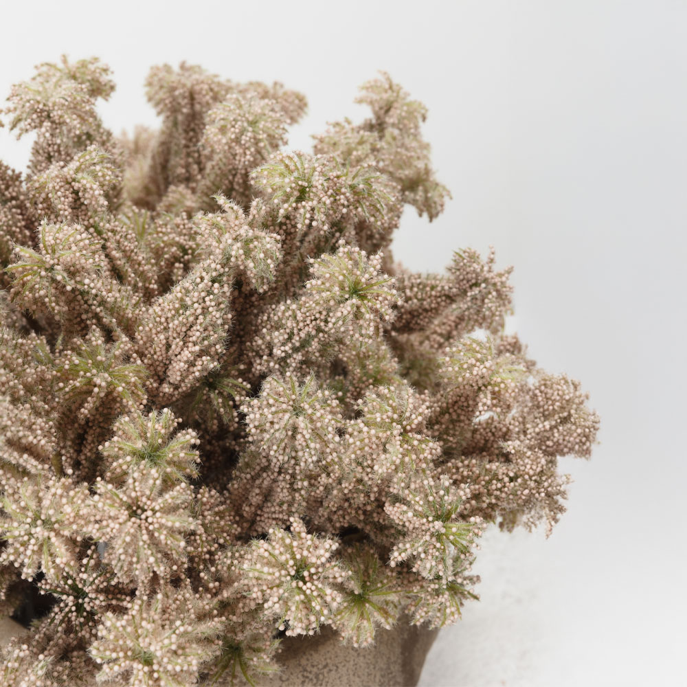 AROMA BLISS ΛΟΥΛΟΥΔΙ ΤΕΧΝΗΤΟ 23 FOAM ΡΟΖ PVC - Image 3