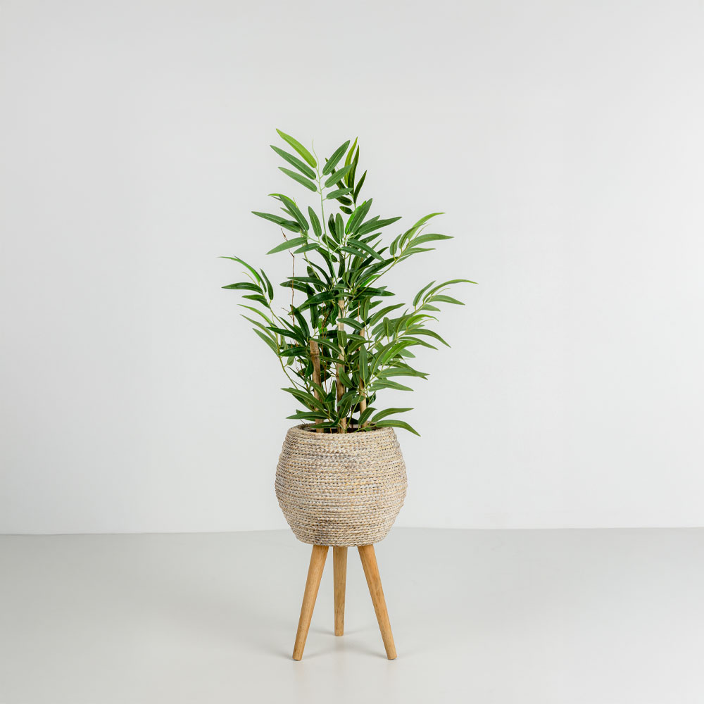 CORDA L ΚΑΣΠΩ ΜΕ ΠΟΔΙΑ WHITE WASHED ΦΥΣΙΚΟ GRASS - Image 2
