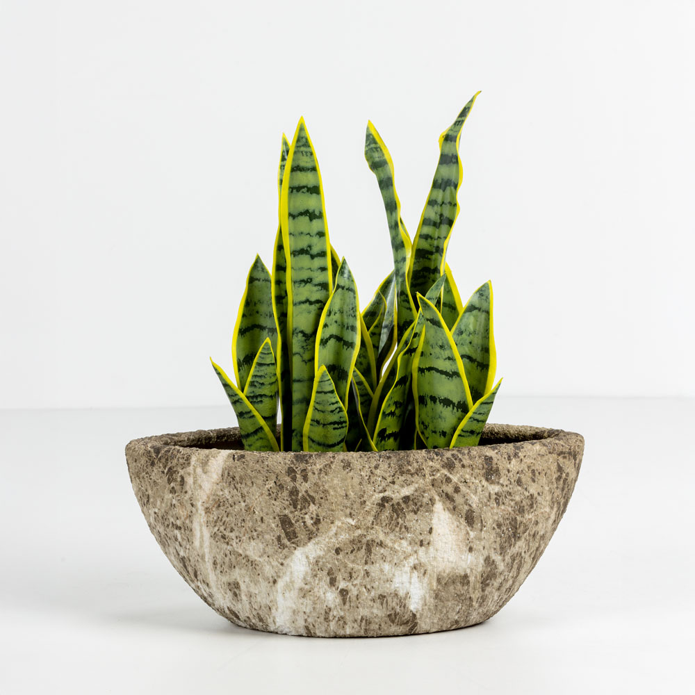 NANGA ΚΑΣΠΩ ΣΕΤ 2ΤΜΧ 46x22x20cm ΚΕΡΑΜΙΚΟ ΜΠΕΖ ΚΑΦΕ - Image 2