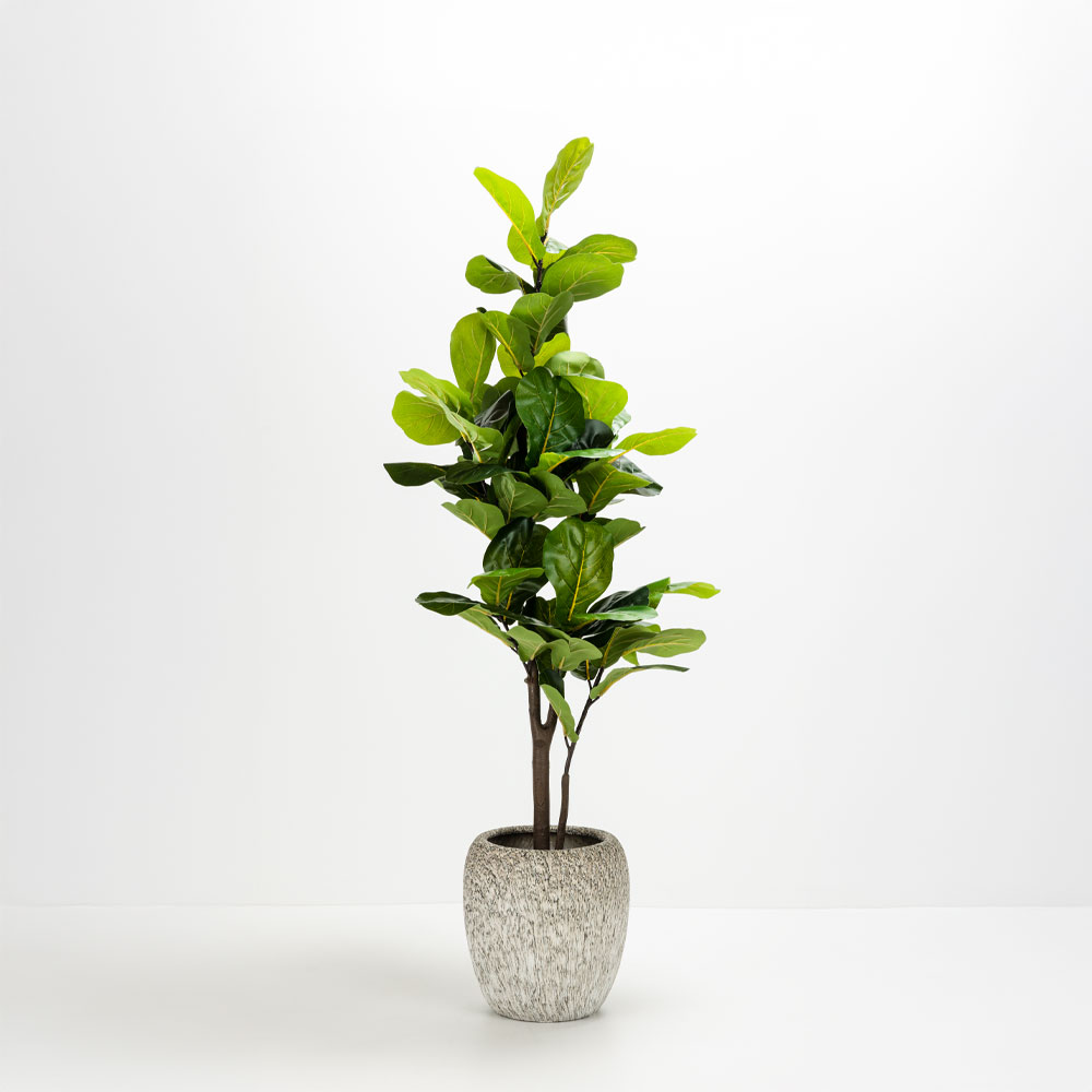 KANCHE ΓΛΑΣΤΡΑ ΣΕΤ 2ΤΜΧ 48x48x39cm ΚΕΡΑΜΙΚΟ ΜΠΕΖ ΜΑΥΡΟ - Image 2