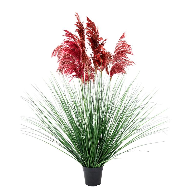 ΔΙΑΚΟΣΜΗΤΙΚΟ ΦΥΤΟ PAMPAS GRASS ΣΕ ΓΛΑΣΤΡΑ 9008 ΚΟΚΚΙΝΟ ΧΡΩΜΑ 70x70x110εκ