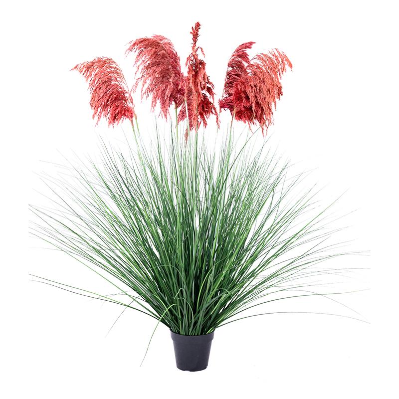 ΔΙΑΚΟΣΜΗΤΙΚΟ ΦΥΤΟ PAMPA GRASS ΣΕ ΓΛΑΣΤΡΑ 9009 ΚΟΚΚΙΝΟ ΧΡΩΜΑ 80x80x126εκ