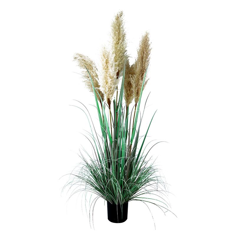 ΔΙΑΚΟΣΜΗΤΙΚΟ ΦΥΤΟ PAMPAS GRASS ΣΕ ΓΛΑΣΤΡΑ 9570 ΠΡΑΣΙΝΟ-ΜΠΕΖ ΧΡΩΜΑ 50x50x138εκ