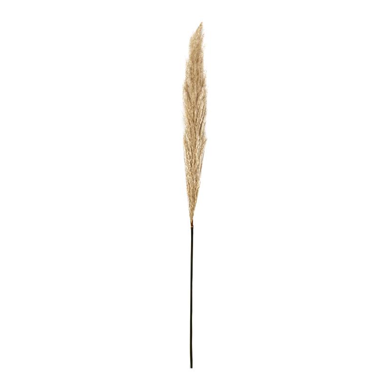 ΔΙΑΚΟΣΜΗΤΙΚΟ ΛΟΥΛΟΥΔΙ PAMPAS GRASS 9573 ΜΠΕΖ ΧΡΩΜΑ 9x9x120εκ